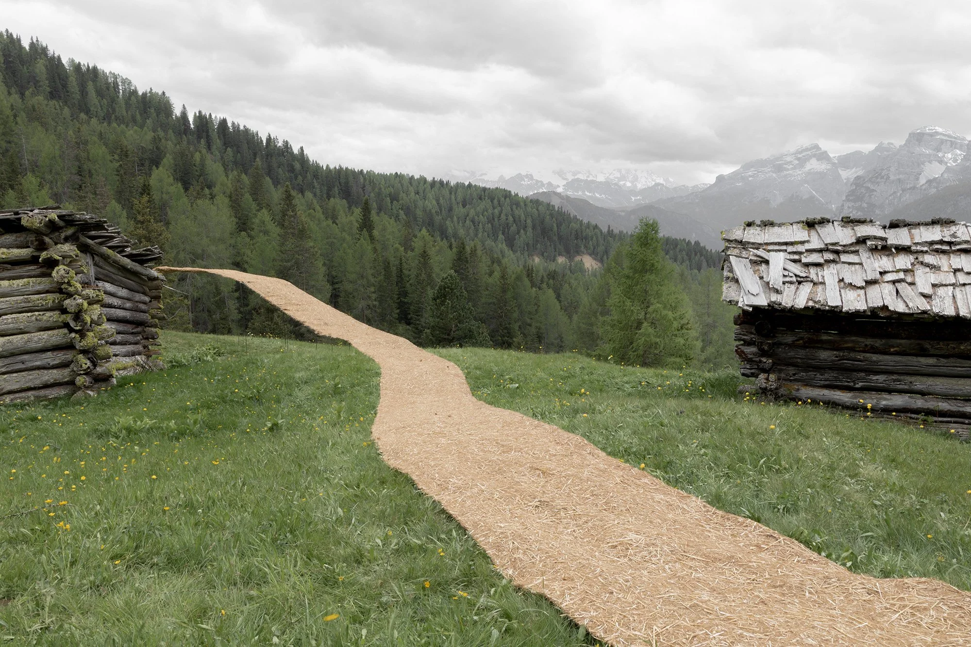 Straw path winding through an alpine pasture between two small wooden cabins, with a forested mountain landscape in the background and cloudy sky above.