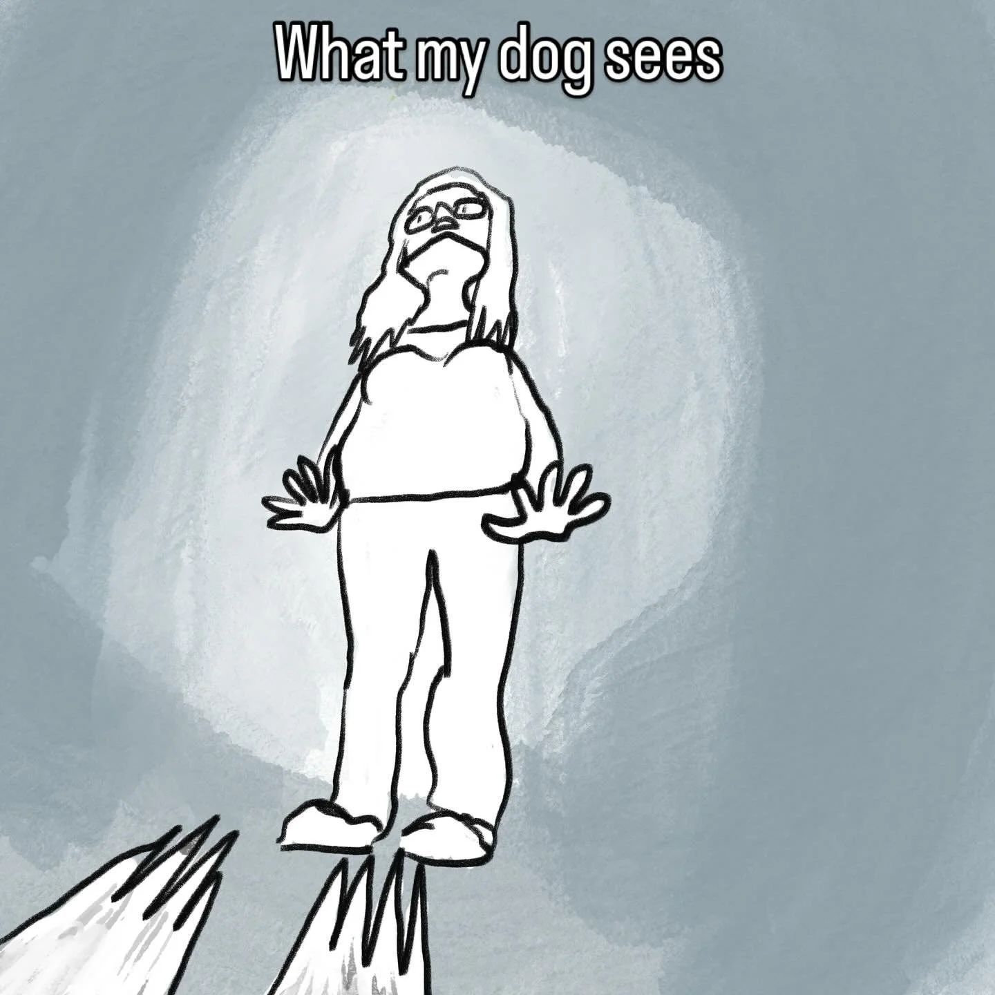 #dog #petview #dogowner