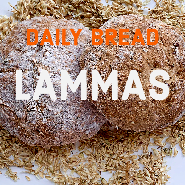 Two round loaves of bread dusted with flour, resting on a bed of oat grains, with text overlay reading 'Daily Bread Lammas'.
