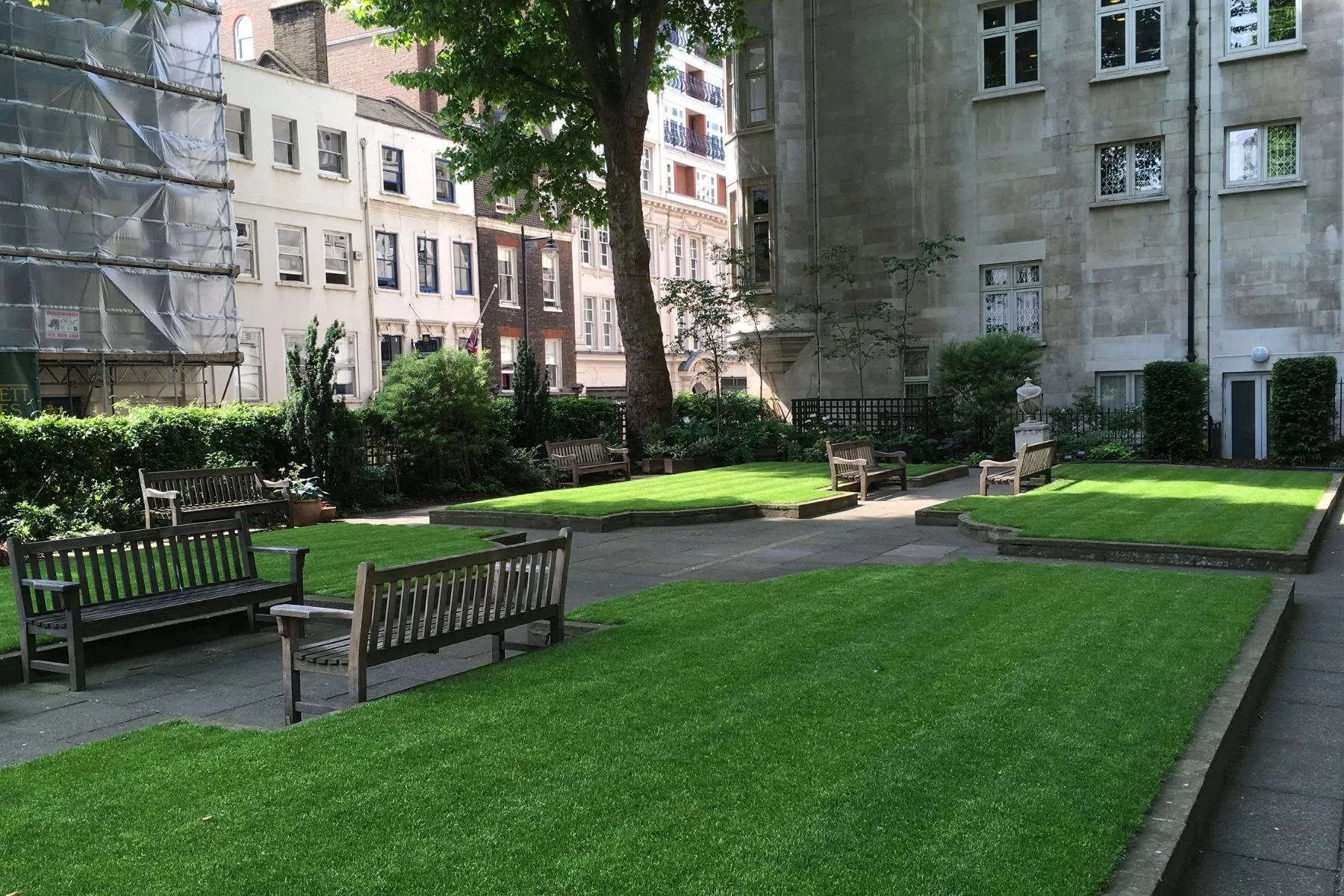A wide angled image of the Southwood garden of St James's Piccadilly. There are neatly trimmed lawn rectangles with benches with London plane trees overhead. The garden is shady and peaceful.