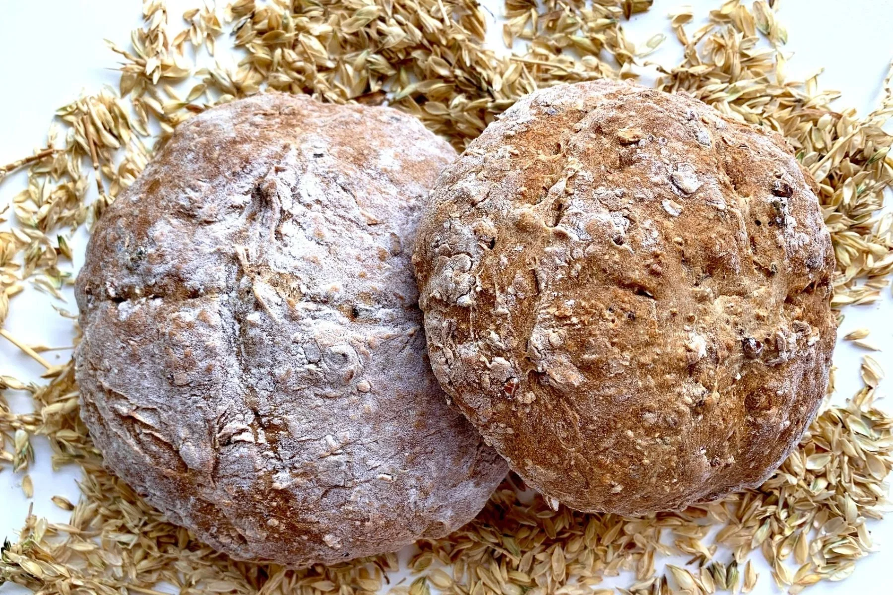Two rustic loaves of bread with flour dusting, surrounded by scattered oats. This bread is made from wheat grown as part of the St James's Daily Bread project.