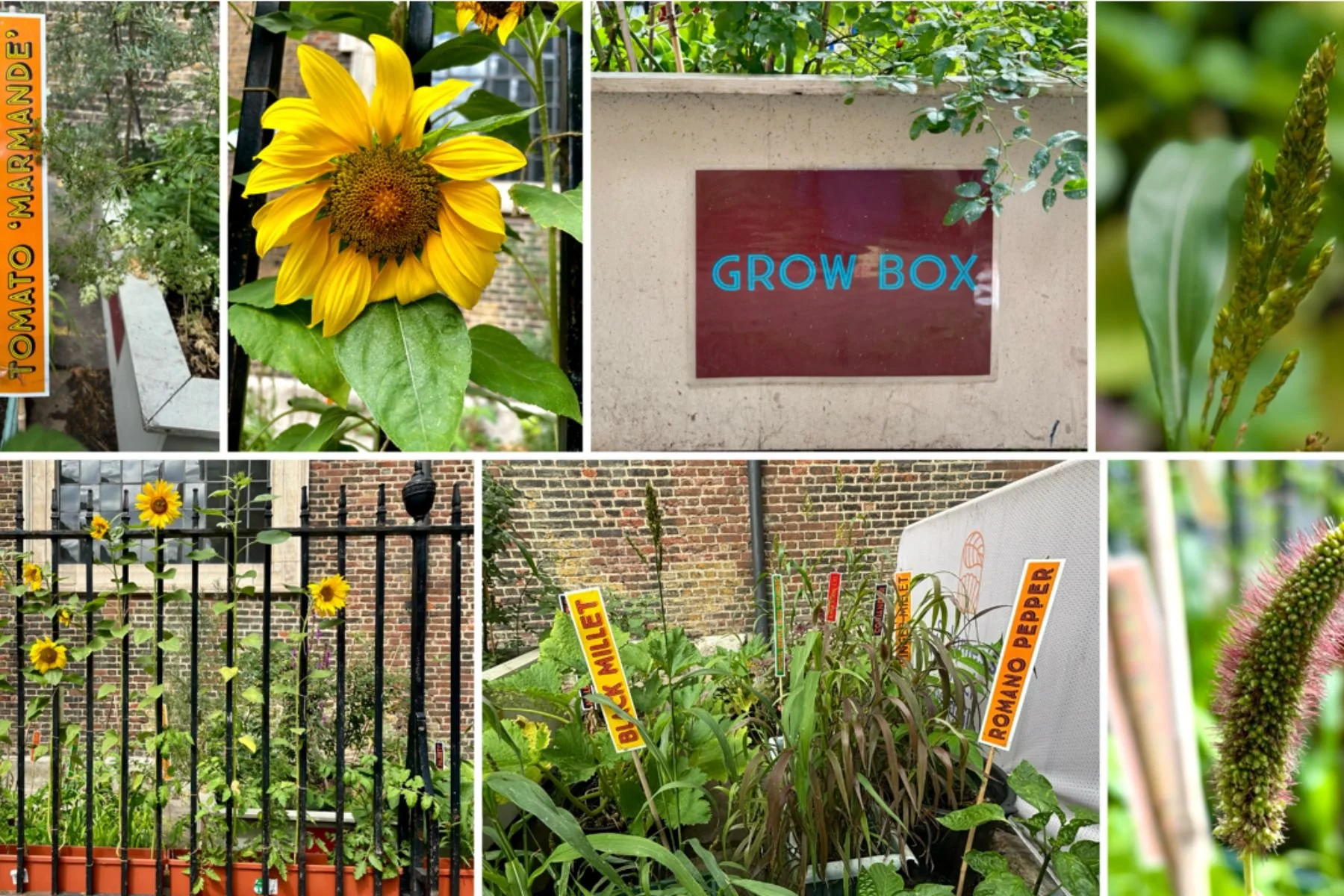 Season of Creation: In the Ecozoic Garden