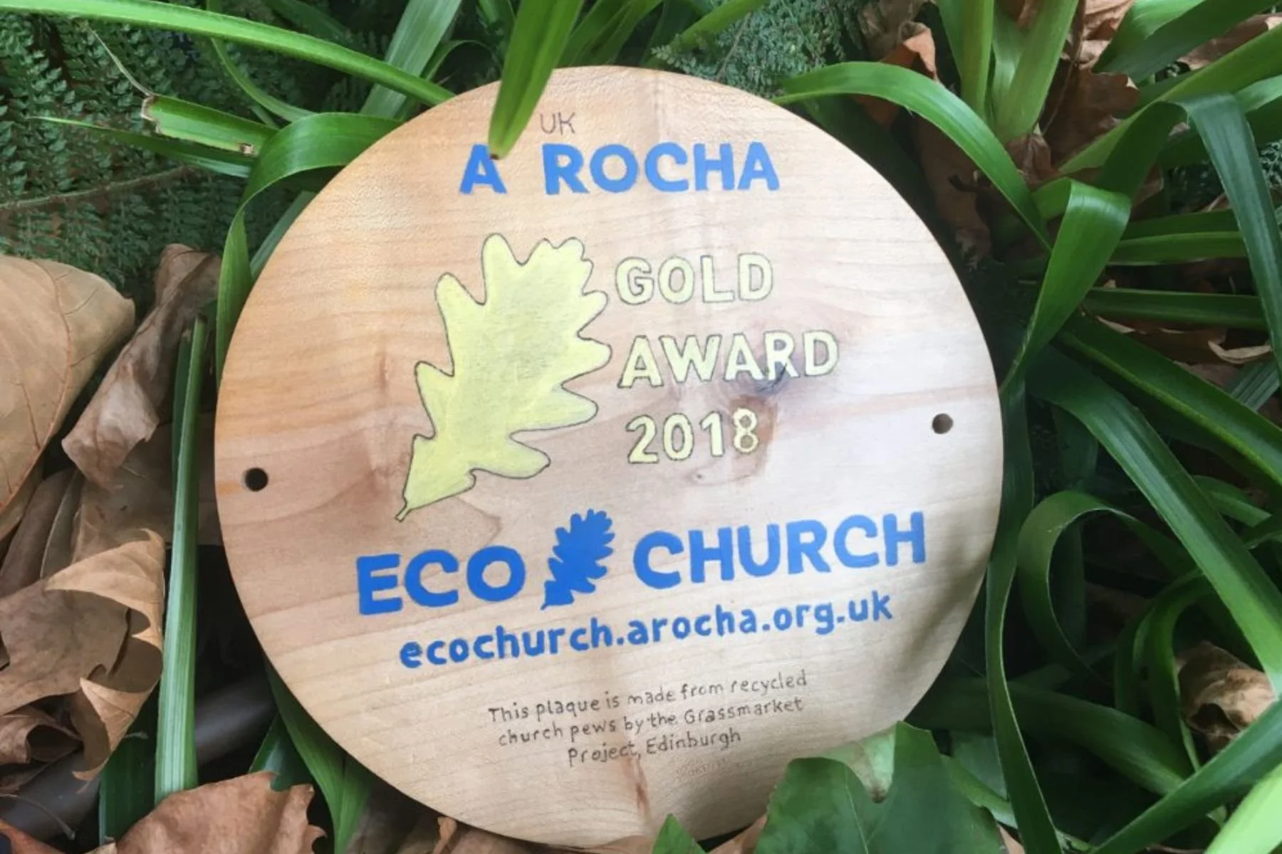 Wooden plaque with the words 'A Rocha Green Gold Award 2018,' the logo of a leaf, and the text 'Eco Church' with a leaf icon, surrounded by green foliage and some brown leaves.