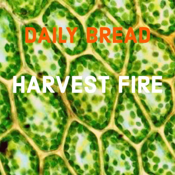 Close-up image of a green leafy plant or vegetables with overlaid text reading "DAILY BREAD" in red and "HARVEST FIRE" in white.