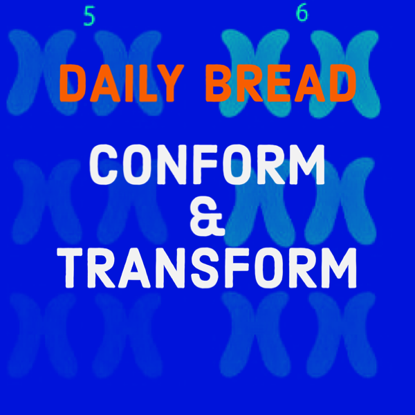 Text on blue background reading 'DAILY BREAD CONFORM & TRANSFORM' with decorative butterfly-like shapes and numbers 5 and 6 at the top.