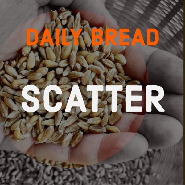 Close-up of a hand holding wheat grains with the text 'Daily Bread Scatter' overlaid.