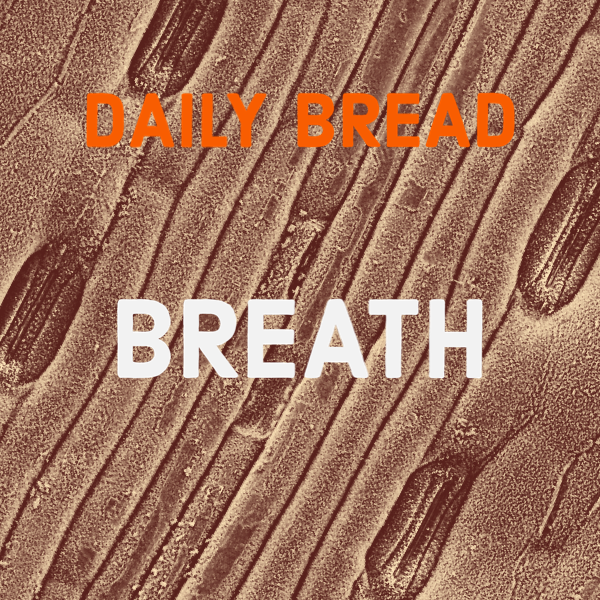 Text on background image that reads 'DAILY BREAD BREATH' with a textured brown bread or bread-like surface in the background.