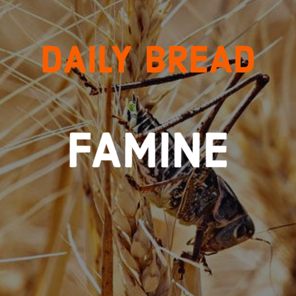 Close-up of a grasshopper on wheat with overlaid text reading 'Daily Bread Famine' in orange and white.