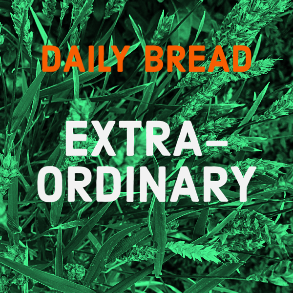Green grass with wheat growing among it, with overlay of text 'DAILY BREAD' in orange and 'EXTRA-ORDINARY' in white.