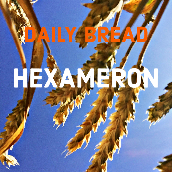 Close-up of dry wheat stalks against a blue sky, with text overlay saying 'Daily Bread Hexameron' in red and white font.