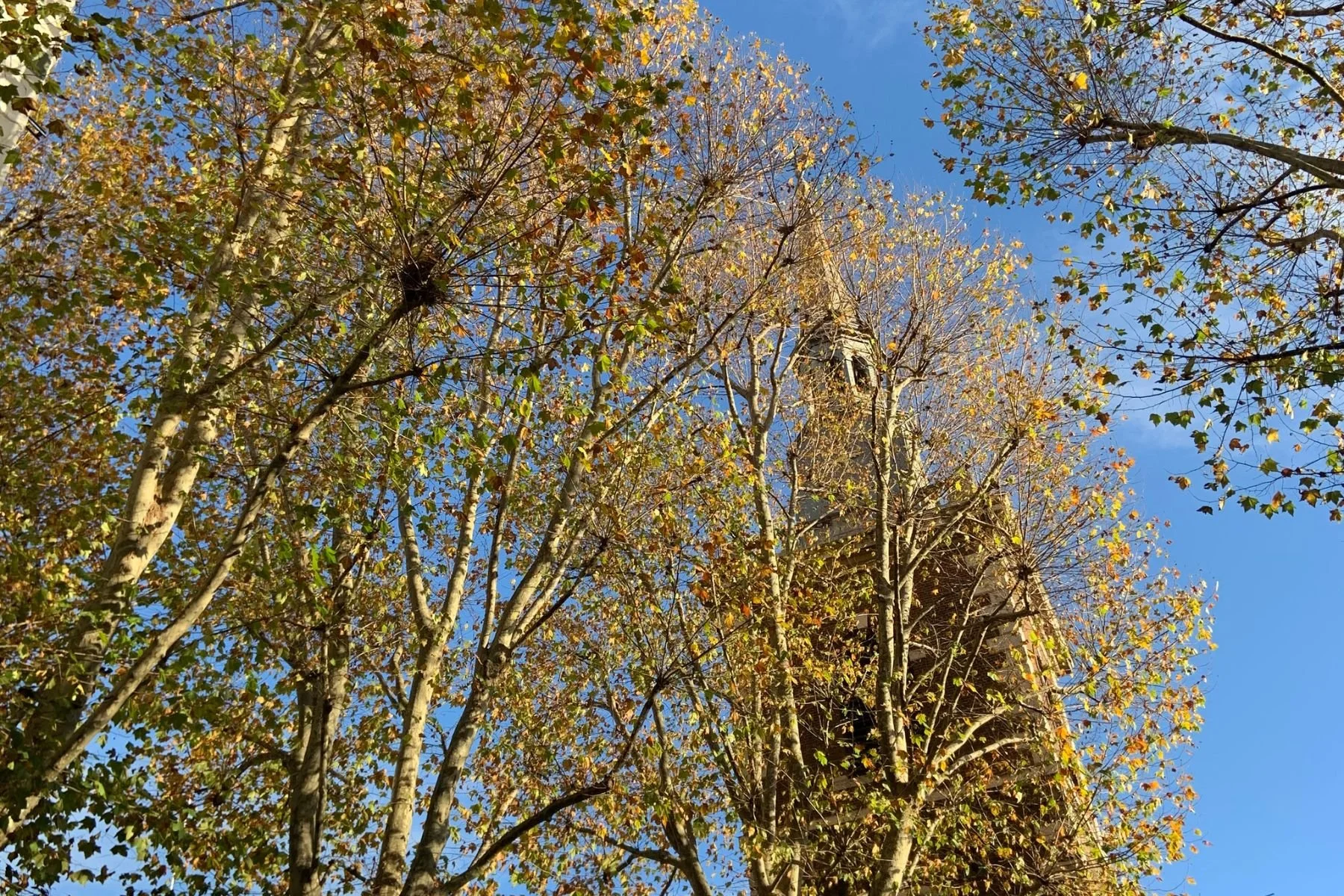 September Eco-Contemplative Liturgy