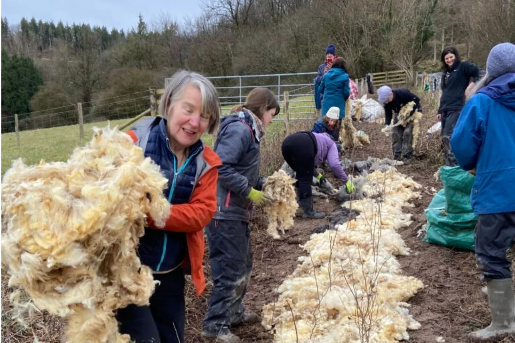 Hifield Friary  2024 3 landscape.jpg