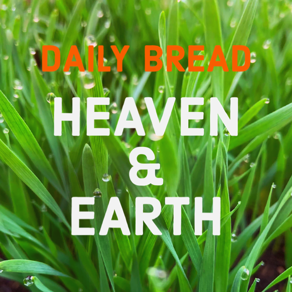 Text overlay on a green grass background reading "Daily Bread Heaven & Earth" with dew drops on the grass blades.