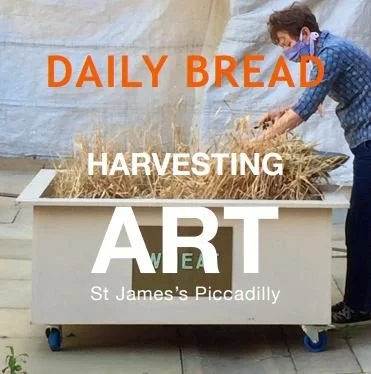 Daily bread - Harvesting Art, St James Piccadilly, square.JPG