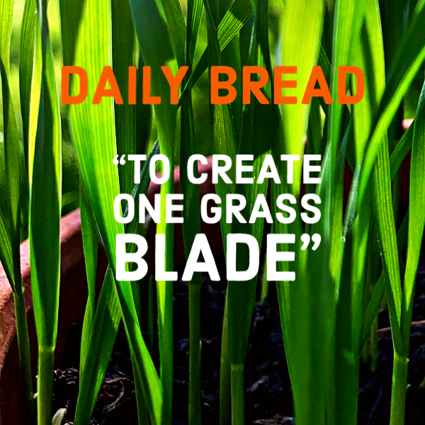 Close-up of green grass blades with overlay text that says "DAILY BREAD" in orange and "TO CREATE ONE GRASS BLADE" in white.