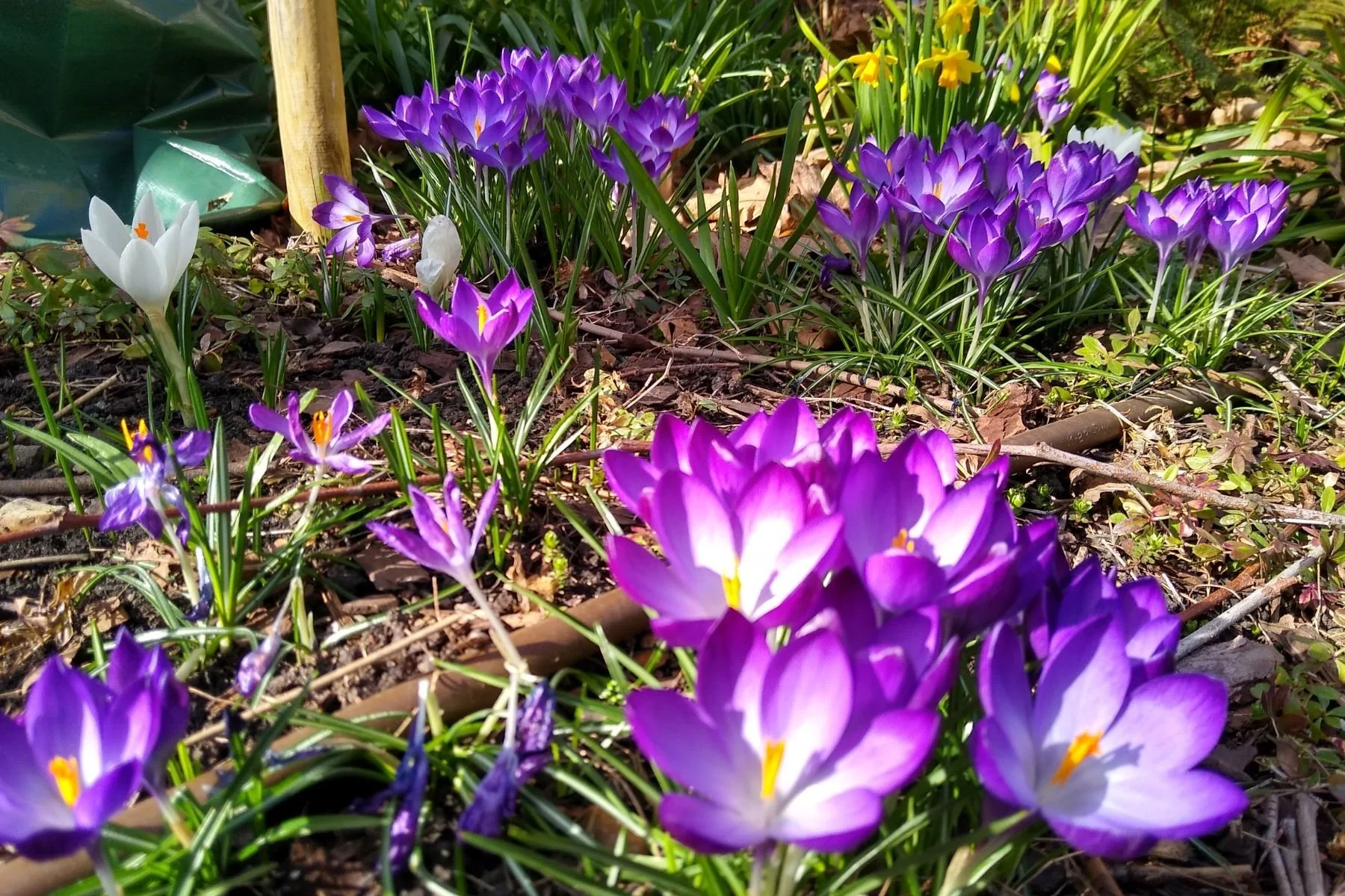 February Eco-Contemplative Liturgy