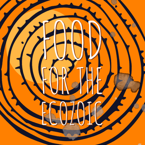 Design with orange and black spiral pattern overlaid with white text reading 'Food for the Ecologic' and some brown stains or spots.