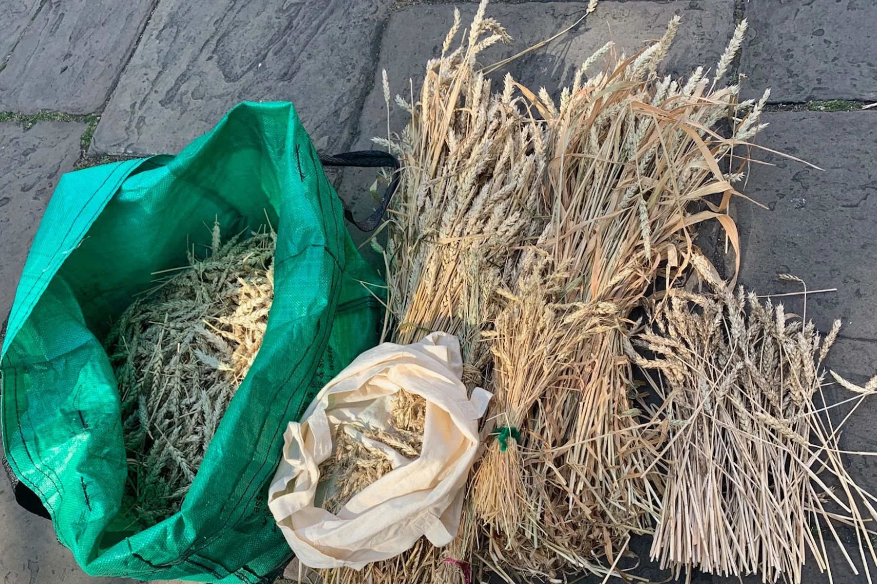 Bundle of harvested wheat stalks on the ground next to a green sack and a cream-colored cloth bag.