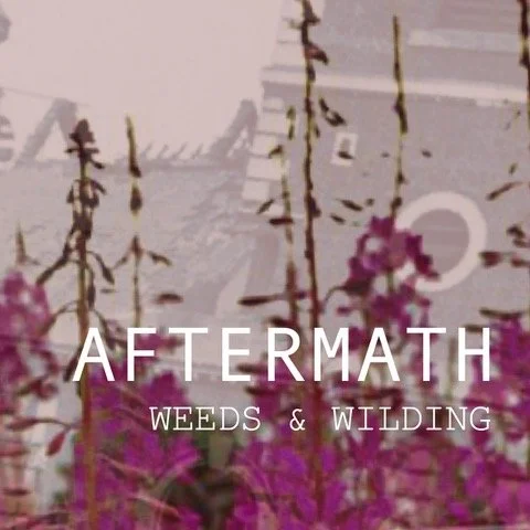 A garden scene with purple flowers and tall weeds, overlaid with the text 'AFTERMATH WEEDS & WILDING'.