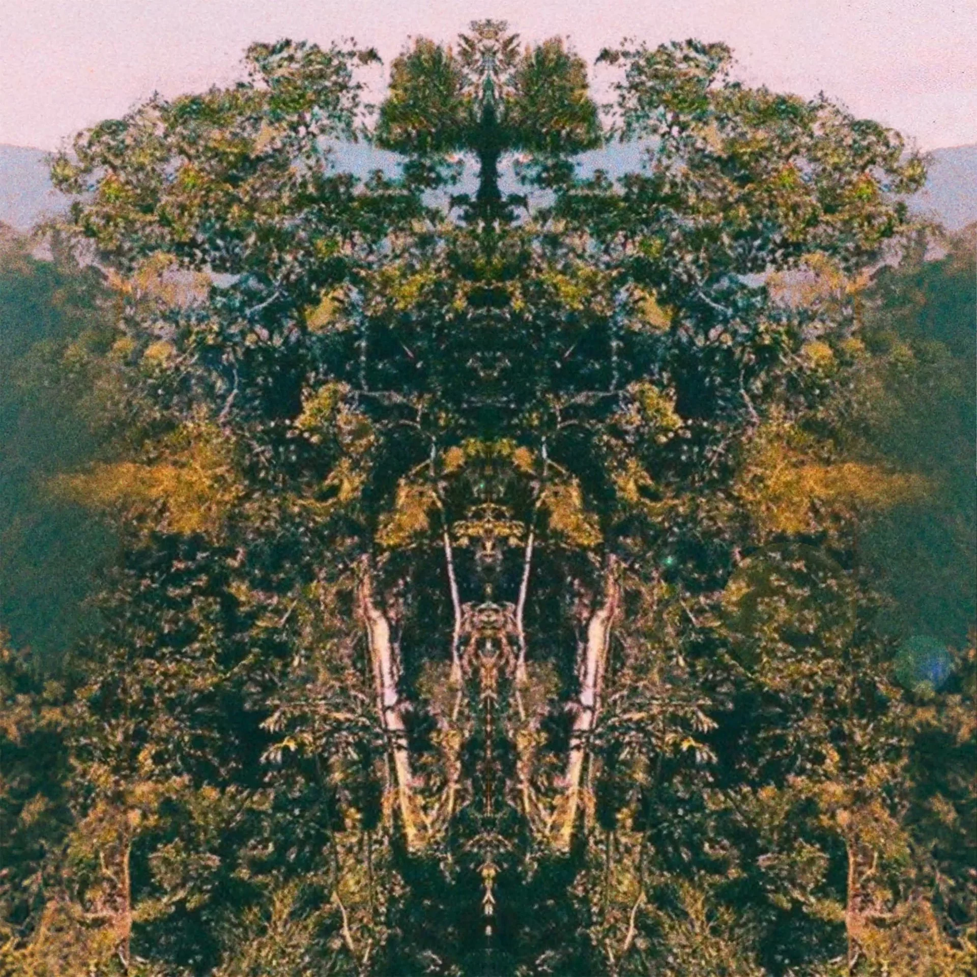 fallback.jpg