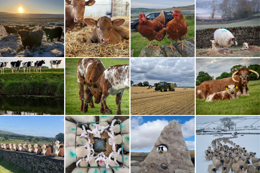 New Year, Same Values