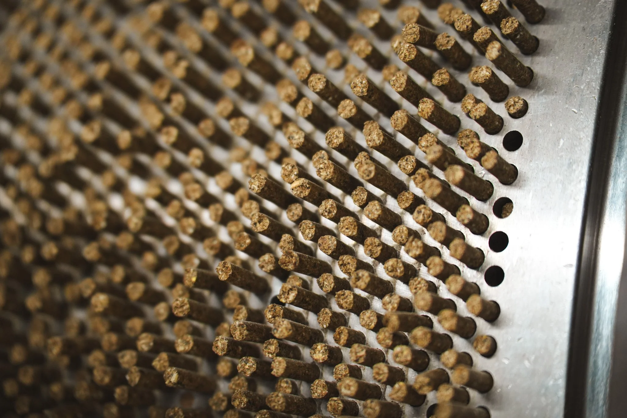 6mm die - aspect.jpg