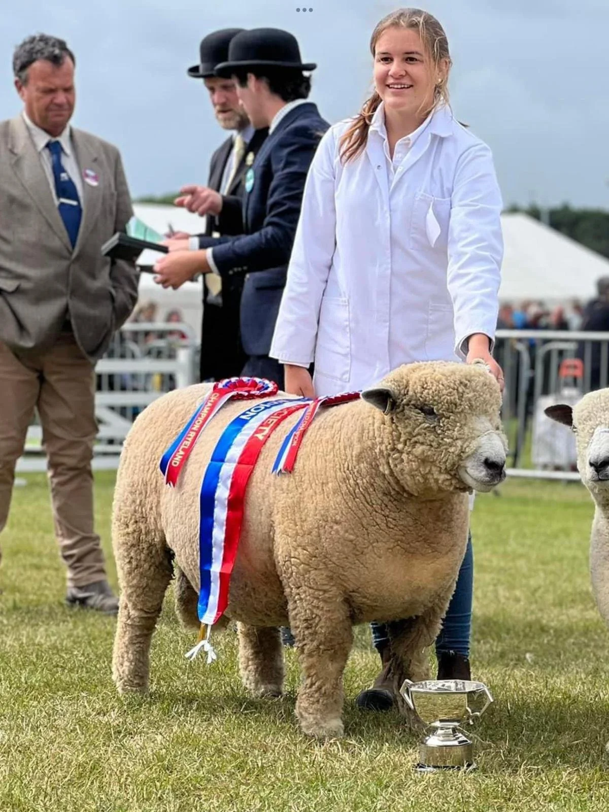 molly + sheep 1.jpeg
