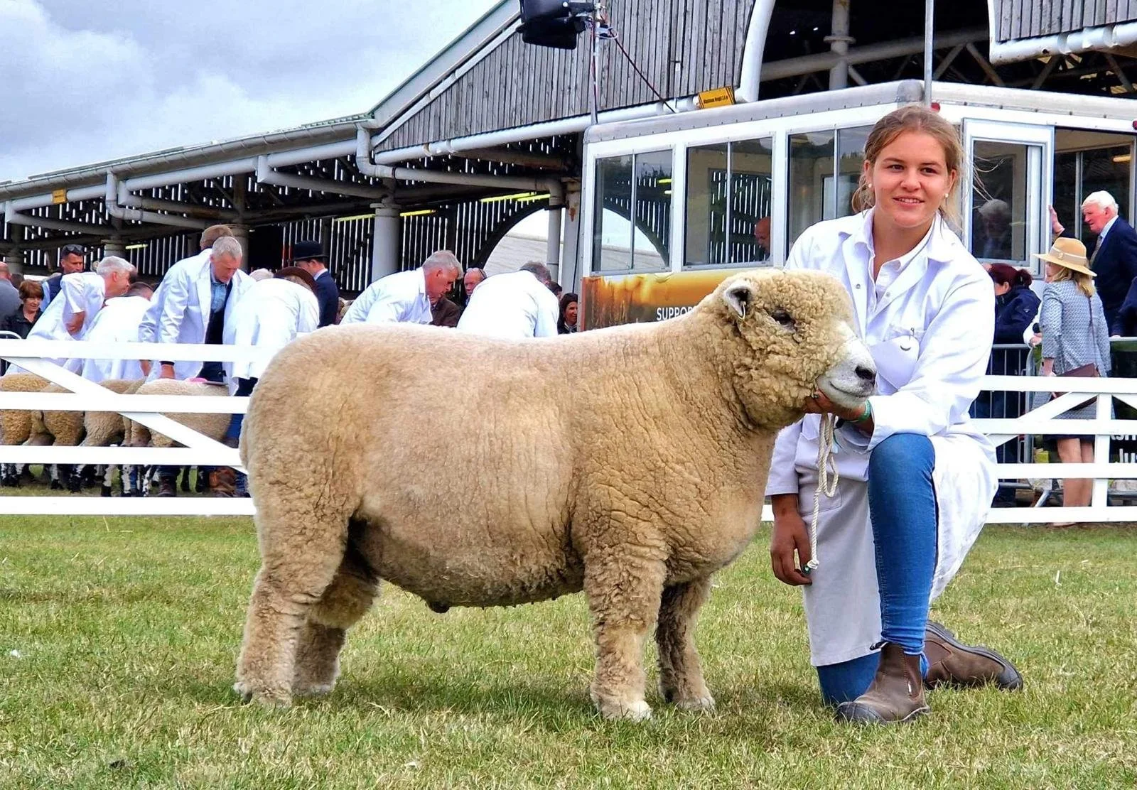 molly + sheep 2.jpeg