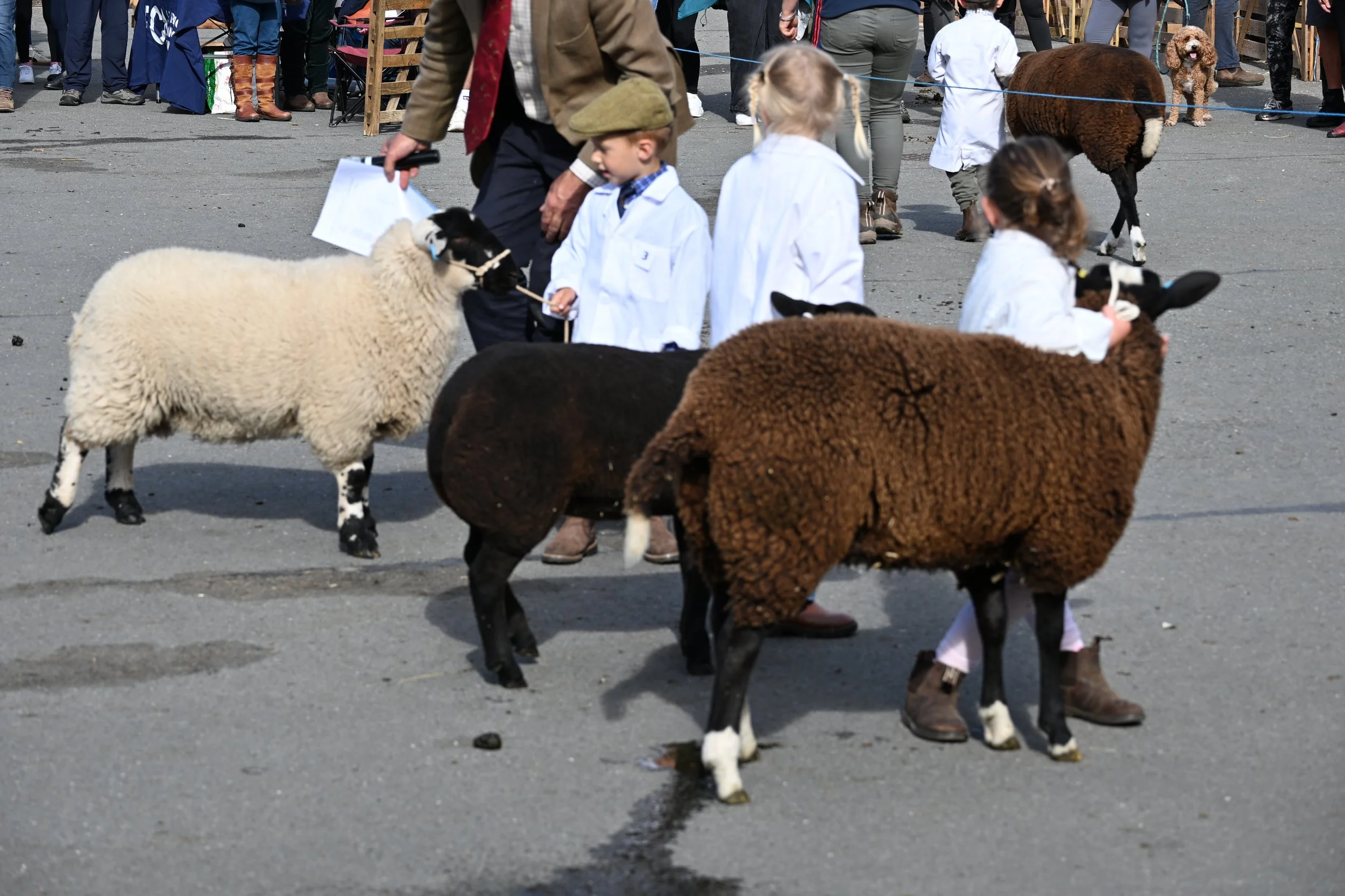 DSC_0058.JPG