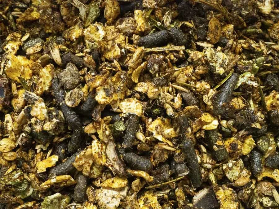 Show Ration Sheep and Lamb Feed — I’Anson Quality Feeds