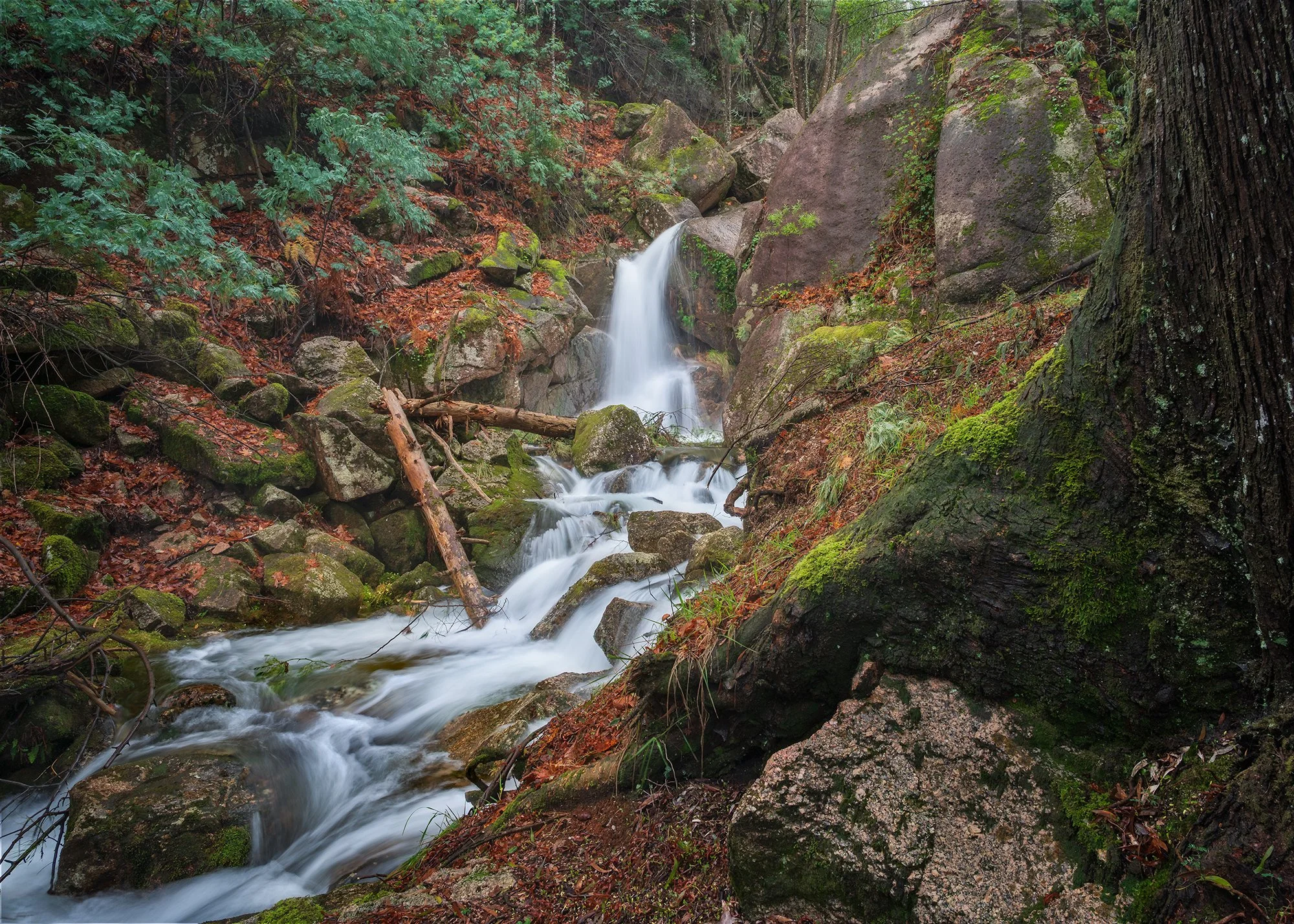 FMS_1566_Cascata Geres_20251207_flattened.jpg