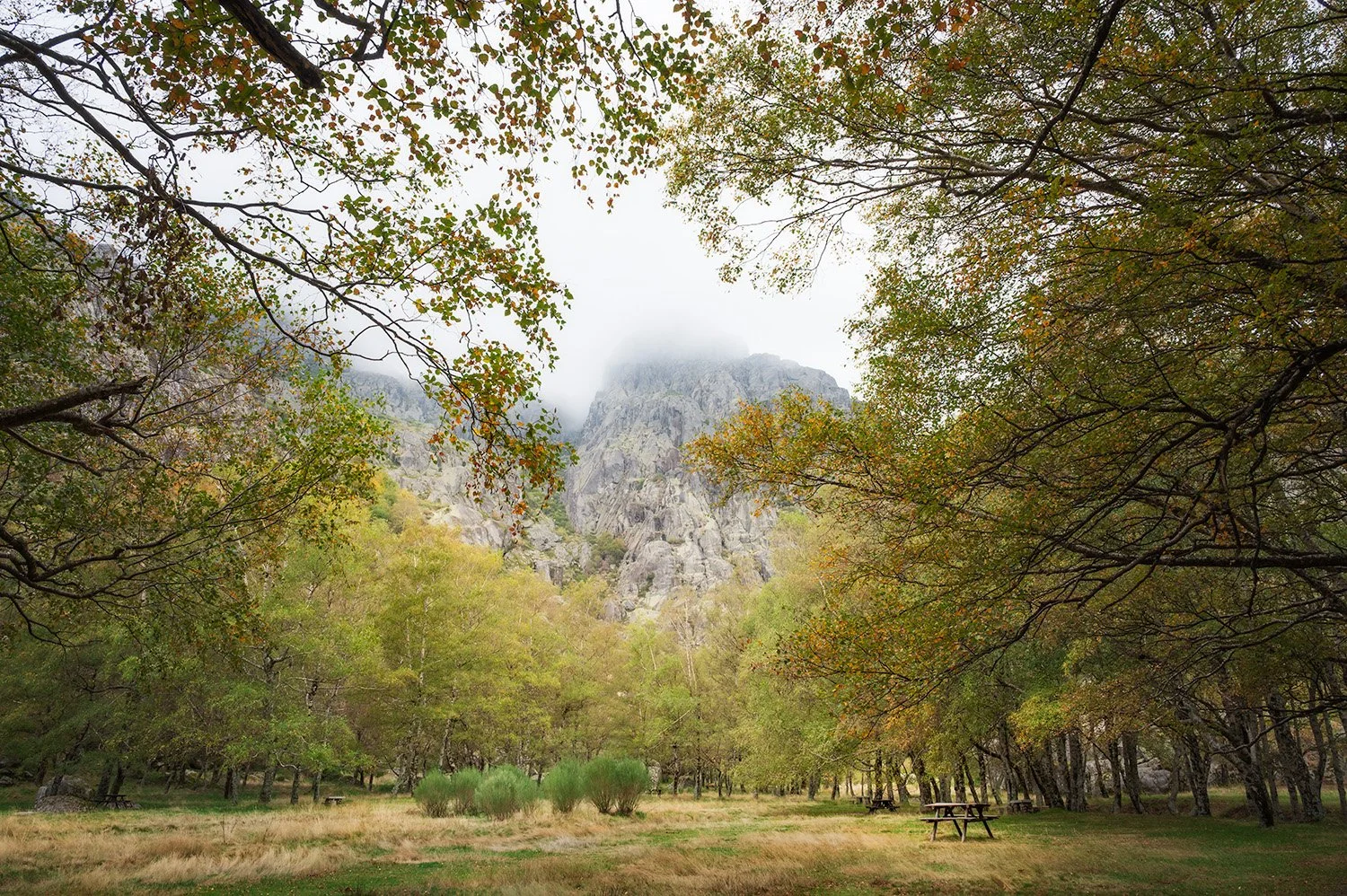 The imposing granite peaks of Covão da Metade tower over a quiet valley floor. This wide-angle view captures the dramatic scale of the glacial landscape, framed by the soft textures of the high-mountain birches.