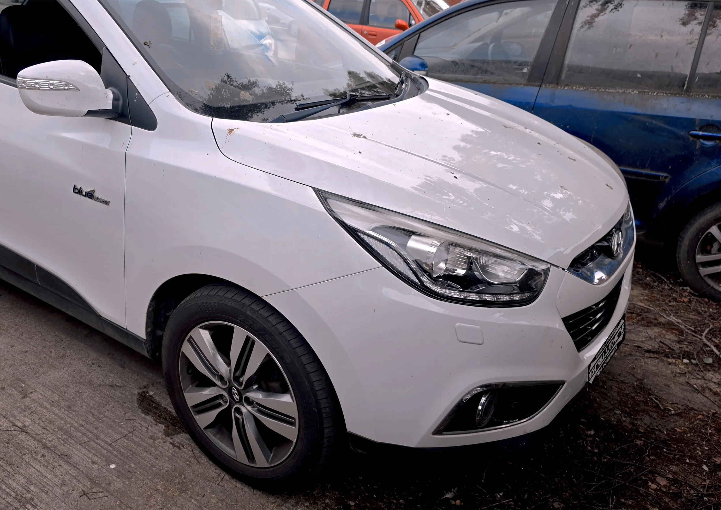 A white Hyundai electric car with a 'blue drive' badge parked on a street next to a blue vehicle and an orange car visible in the background.