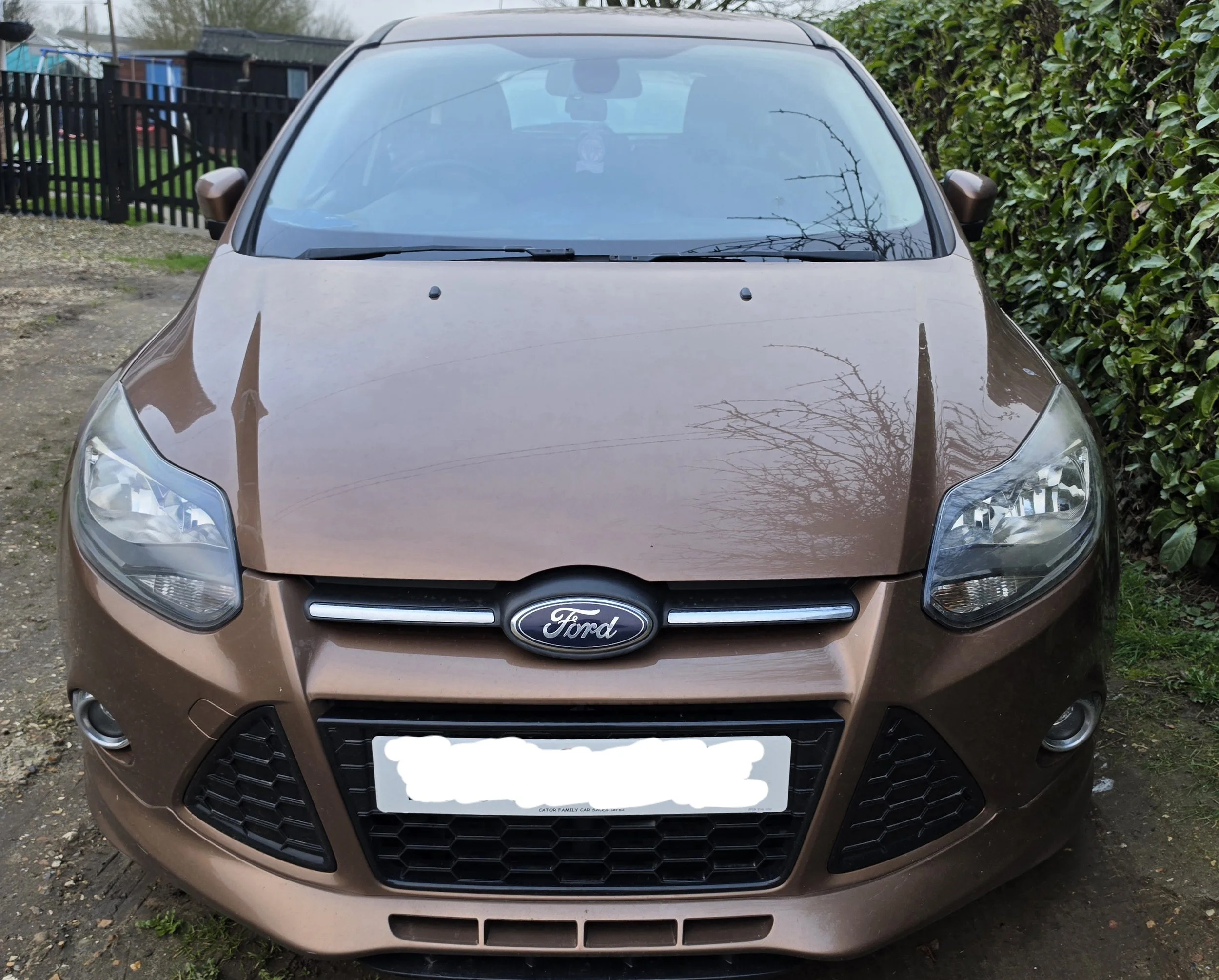 Front view of a brown Ford car parked on a dirt surface, with a black fence and green bushes in the background.