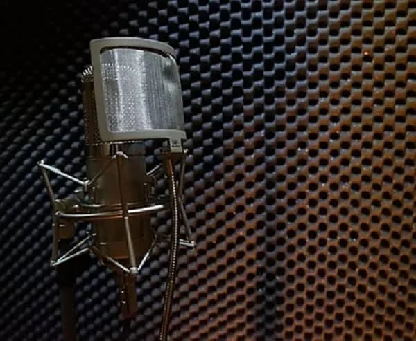 Studio microphone in an acoustically treated vocal booth for voiceover recording.