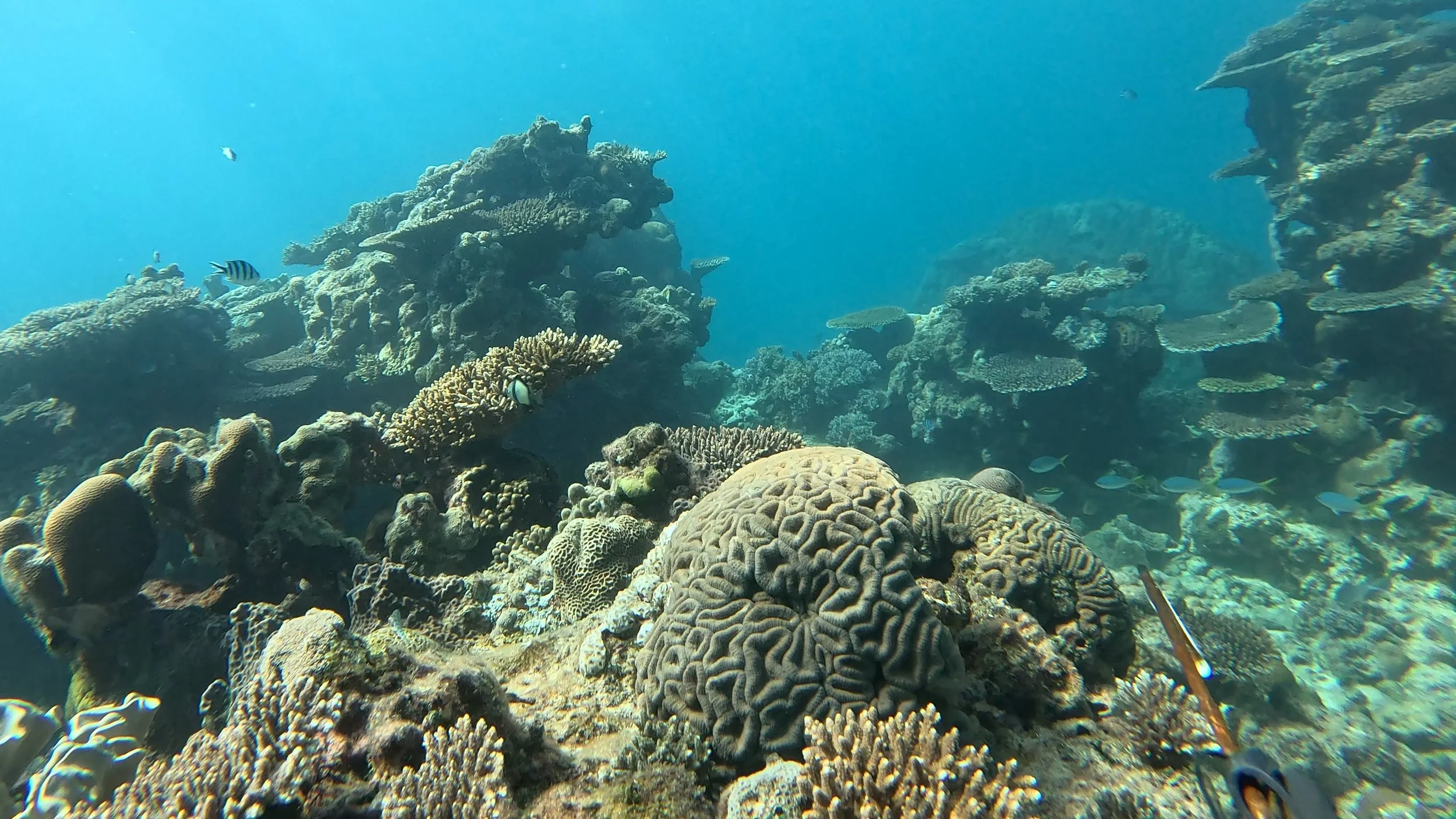 GPTempDownload 12.JPG