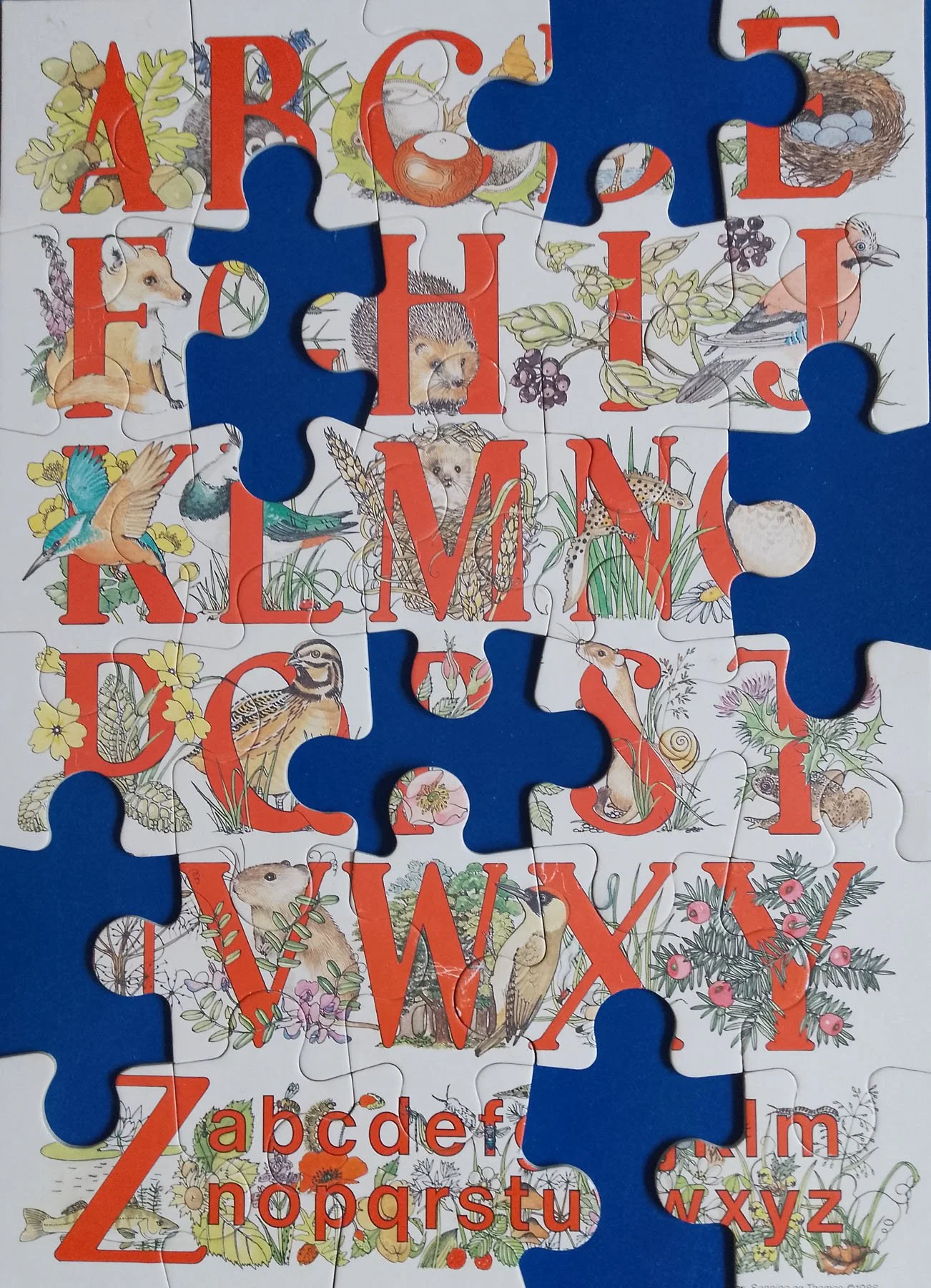 What are the specific literacy needs of adolescents, and how can we meet them?