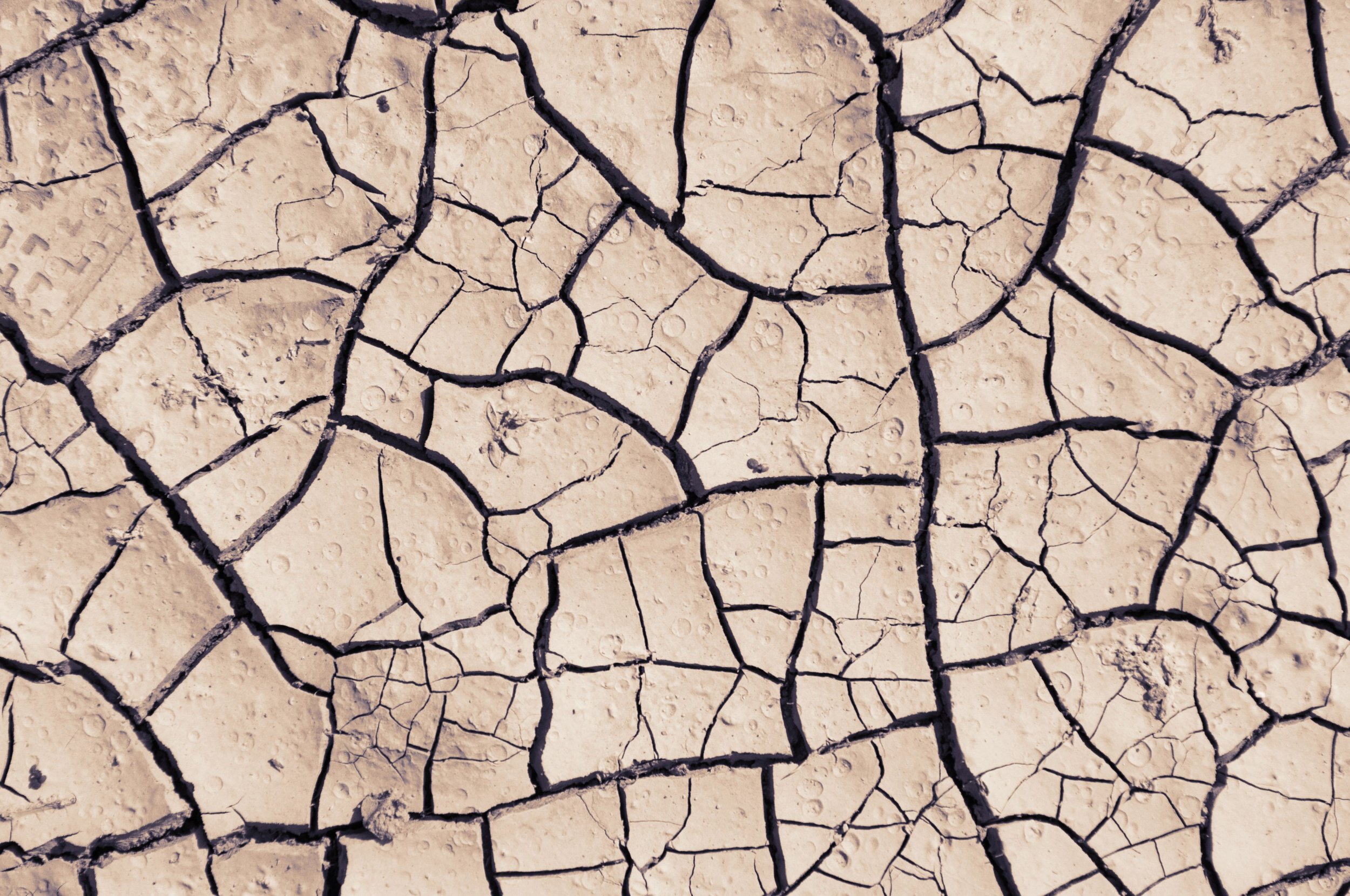Dry pavement representing vaginal dryness and menopause-related intimate discomfort