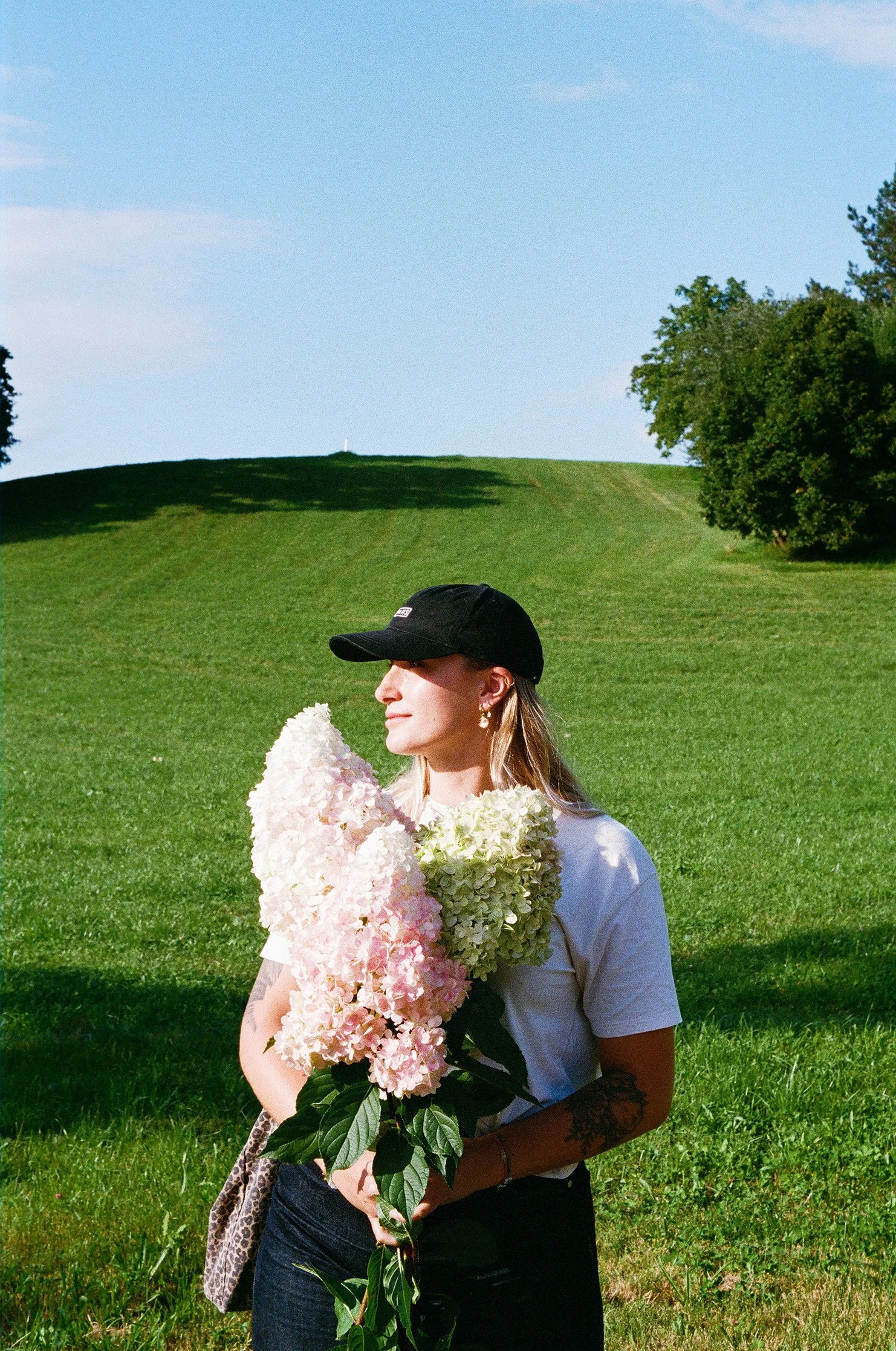 000013920004 compressed.jpg