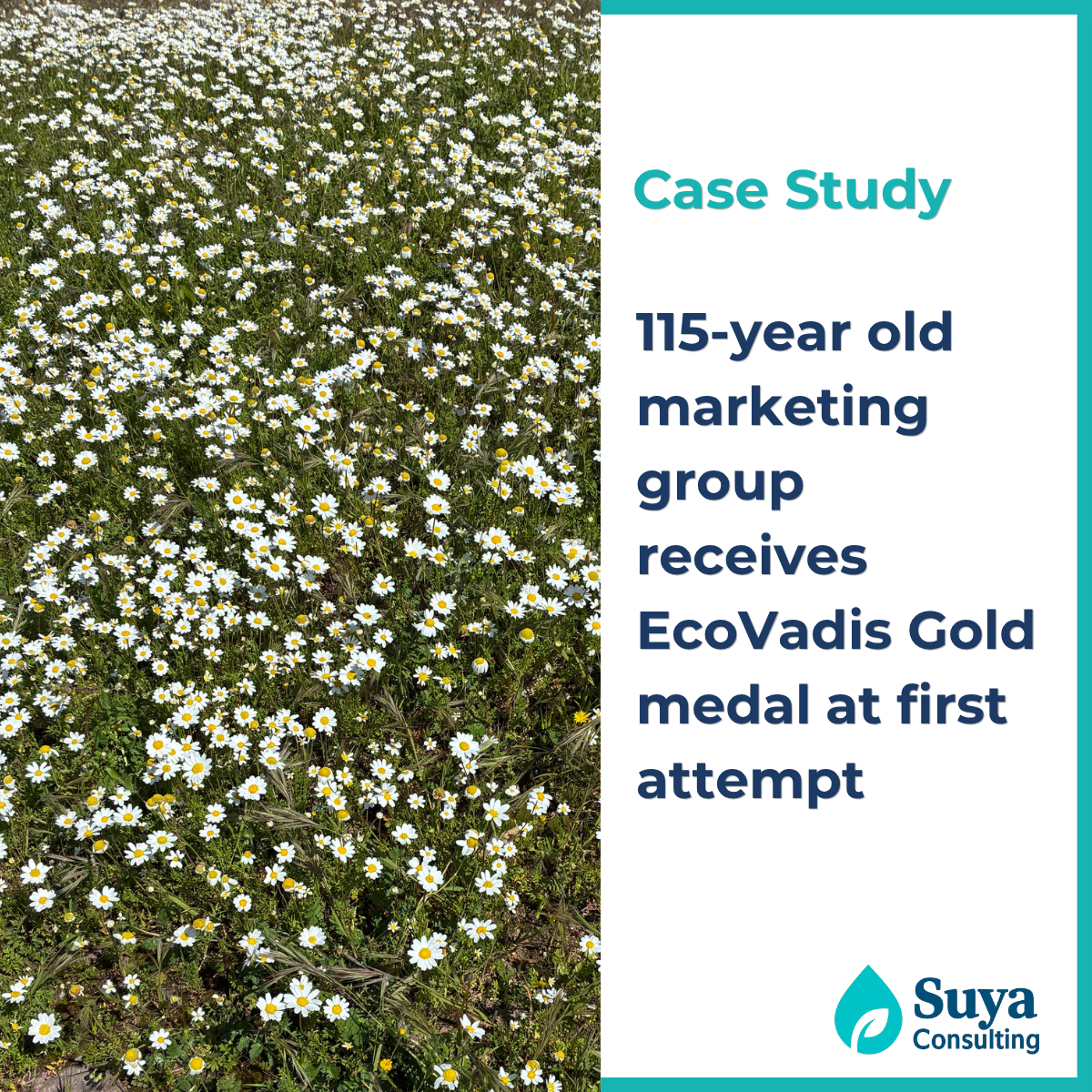 Case Study: 115-year old marketing group received EcoVadis Gold