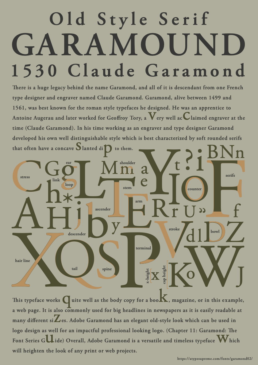 Typeface Anatomy Layout