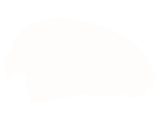 A cream daub of paint in a graphic format
