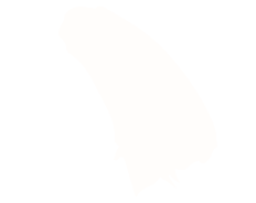 A cream brushstroke