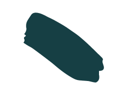 A green daub of paint in a graphic format