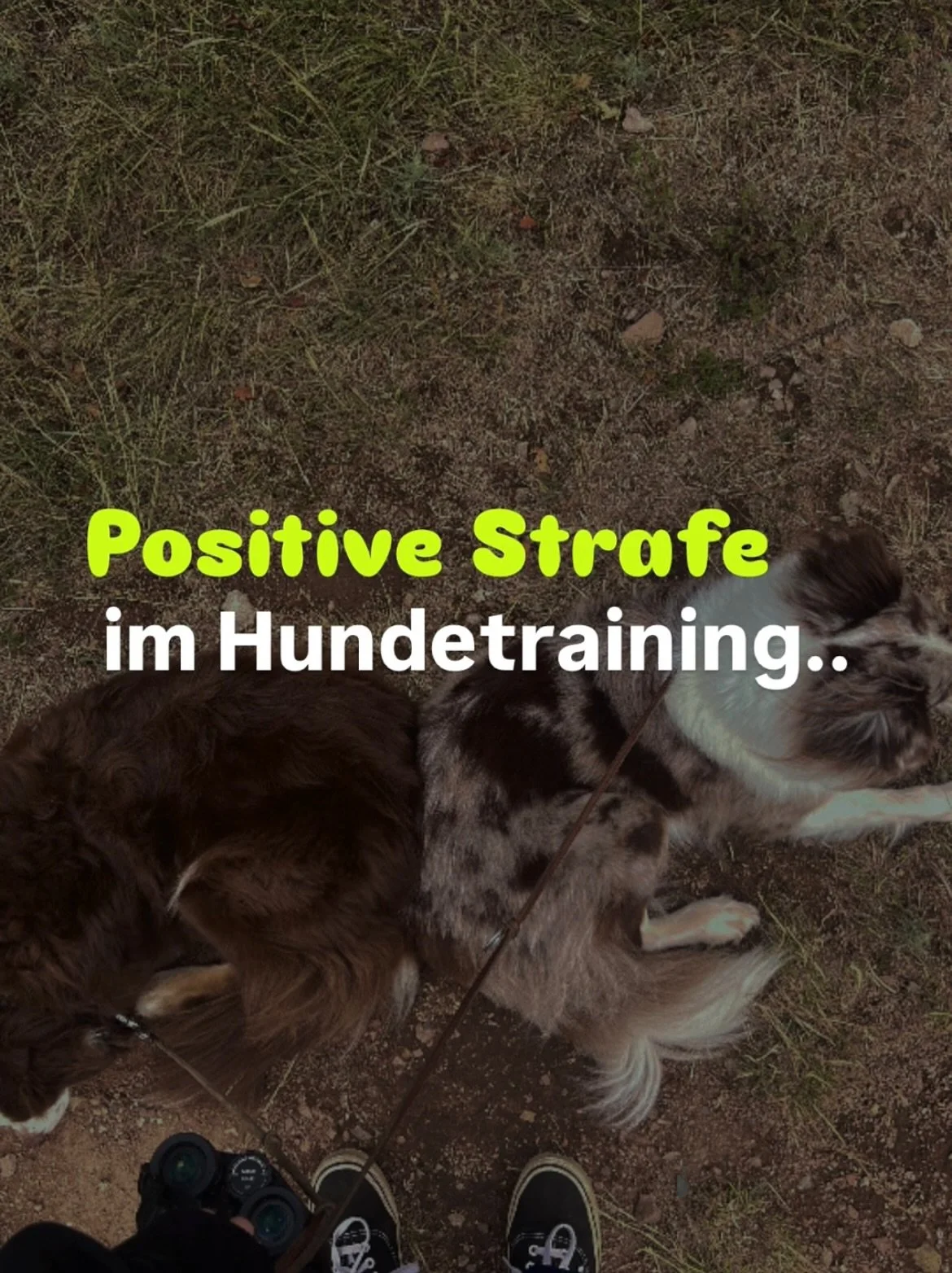 Die negative Belohnung (oder: negative Verst&auml;rkung) bedeutet:
Ein unangenehmer Reiz h&ouml;rt auf.

Nicht nur die Strafe ver&auml;ndert das Verhalten, sondern das Erleben, dass sie ausbleibt, wenn der Hund sich angepasst verh&auml;lt. Darauf sol