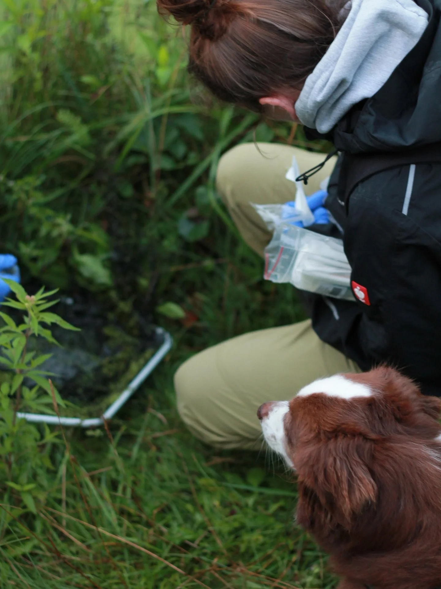 Am Anfang waren wir immer zu dritt unterwegs: Niklas, @aquapaule (danke f&uuml;r die Fotos) und ich &ndash; und nat&uuml;rlich Exi. Unsere kleine Stammcrew. Viele Jahre, viele Exkursionen, viele Momente, die man keinem &bdquo;normalen&ldquo; Menschen