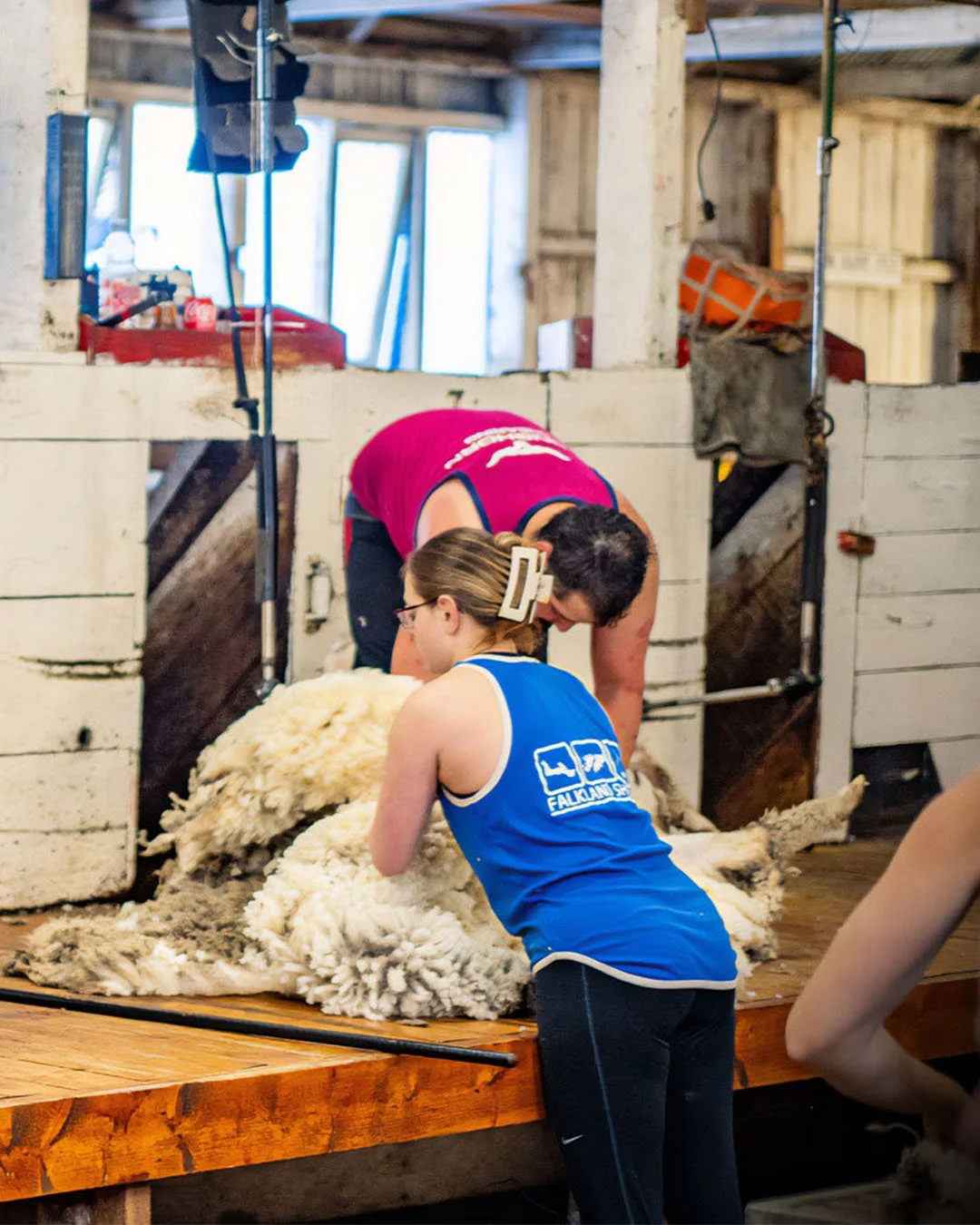 Falkland Shears | Port Howard, Falkland Islands