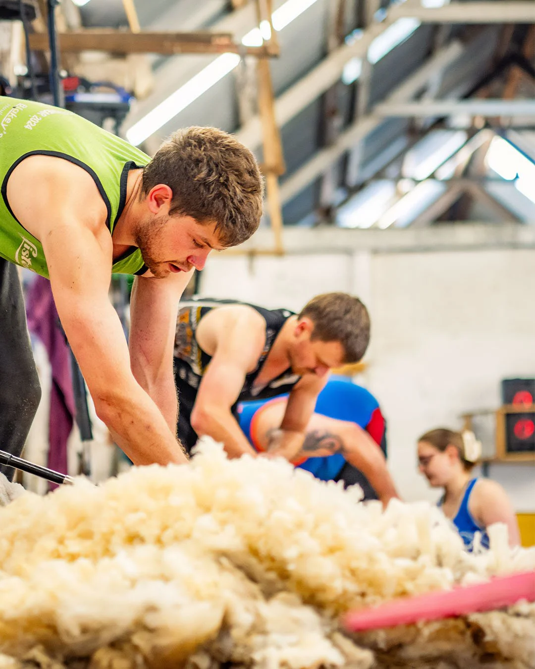 Falkland Shears | Port Howard, Falkland Islands