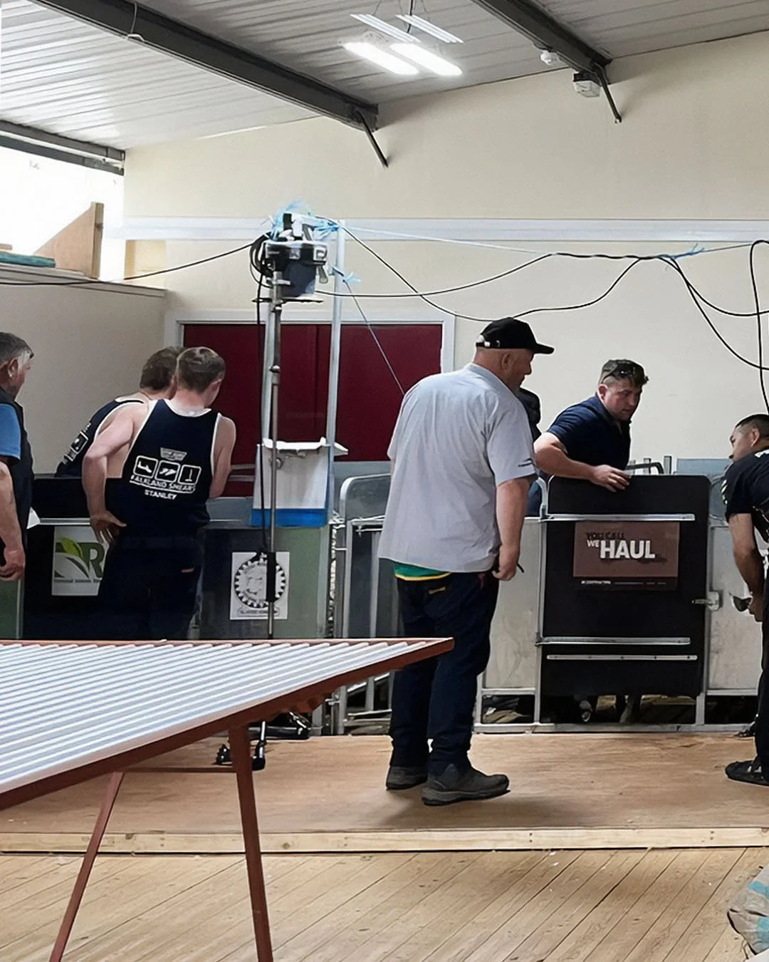 Falkland Shears Annual Shearing and Wool Handling Competition | Dedicare | Falkland Islands