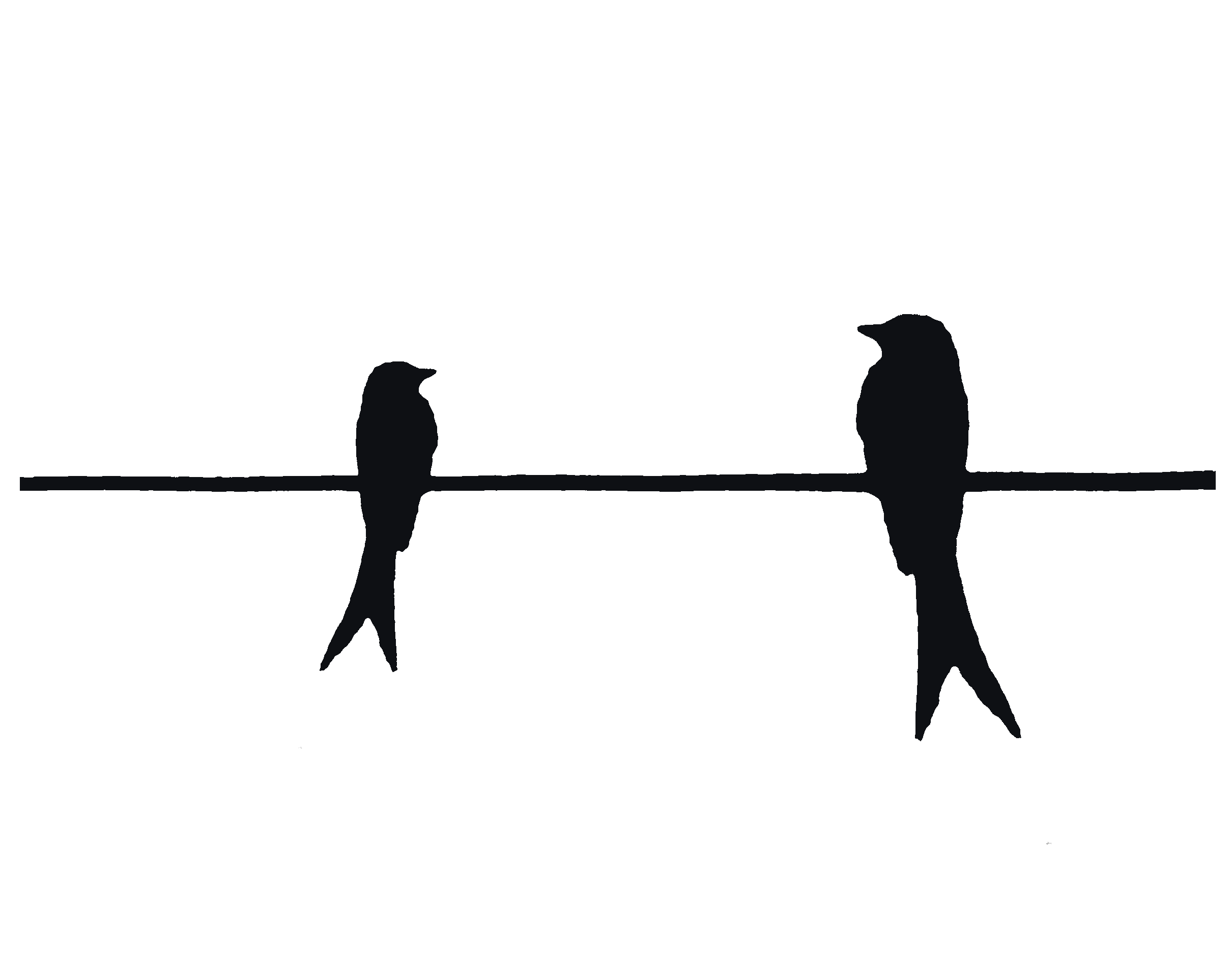 Scaling up: Is professional marketing worth the investment?&nbsp; 